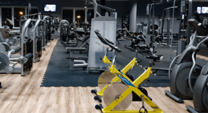 Specjalna oferta Revital Fitness